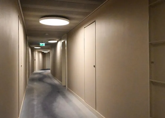 Lumina Ovo فروتسواف